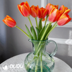 Tulip orange
